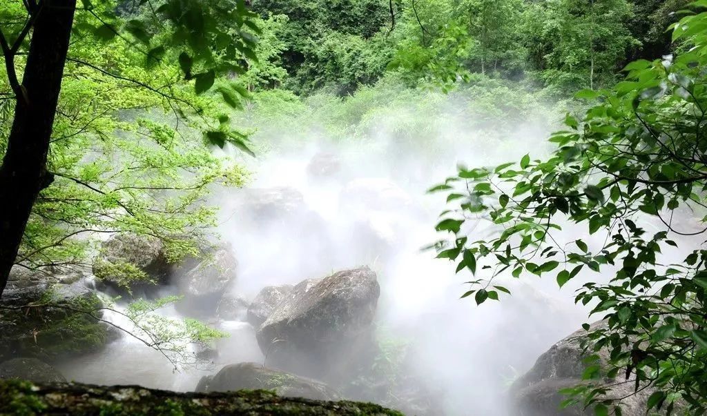 “霧森”系統、“霧森”景觀(guān)