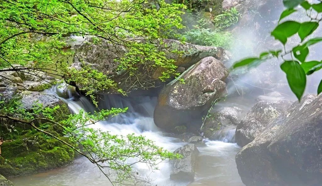 “霧森”系統、“霧森”景觀(guān)