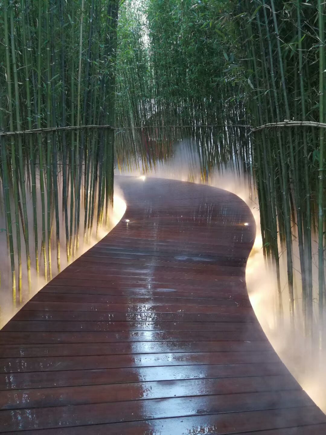 霧森景觀(guān)、霧森造景、人造霧、小區造景、降塵、加濕、小區霧森造景、樓盤(pán)云霧造景
